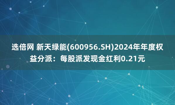 选倍网 新天绿能(600956.SH)2024年年度权益分派：每股派发现金红利0.21元