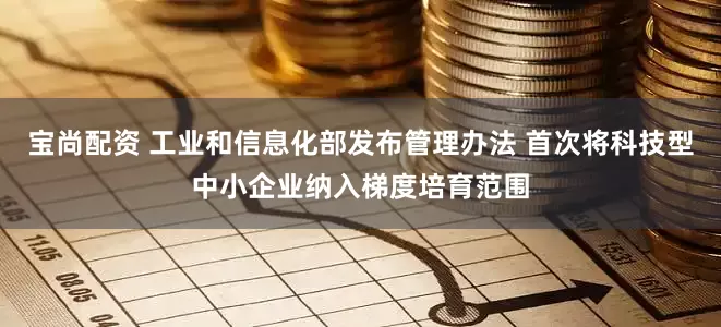 宝尚配资 工业和信息化部发布管理办法 首次将科技型中小企业纳入梯度培育范围